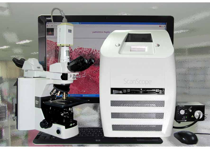 Aperio 00.jpg 75.2K